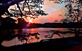 Lake View Dambulla